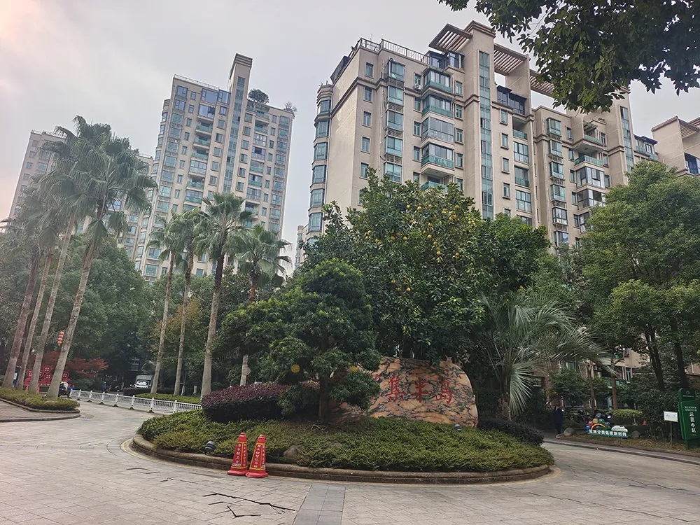 1737017036415549.jpg 1.jpg